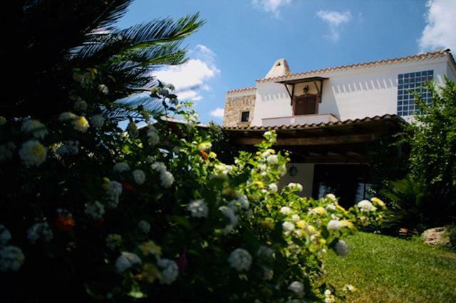 Villa Silvia Apartment Olmedo Exterior photo